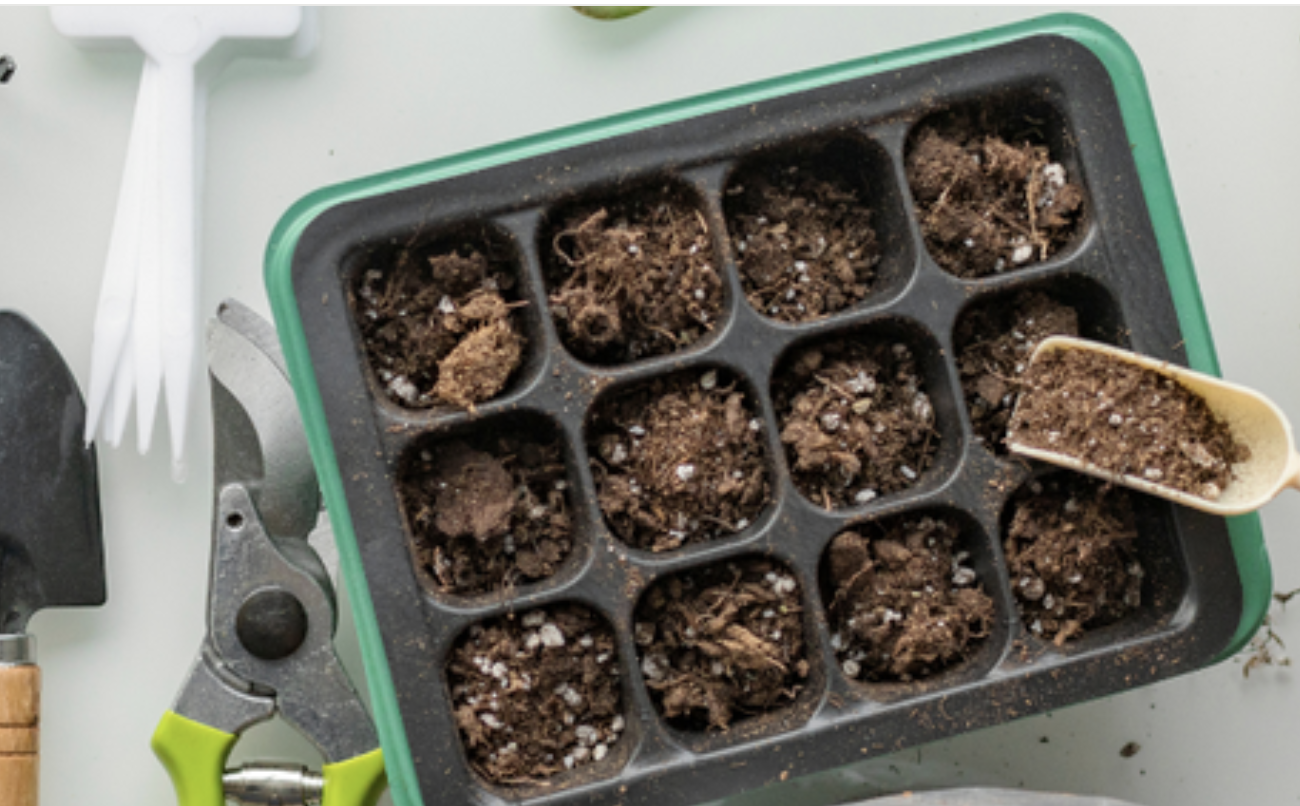 How To Start An Indoor Garden in The Valley
